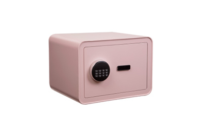 Electronic Safe