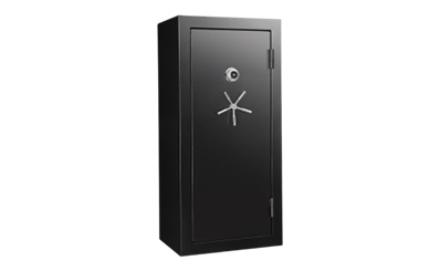 Gun Safe